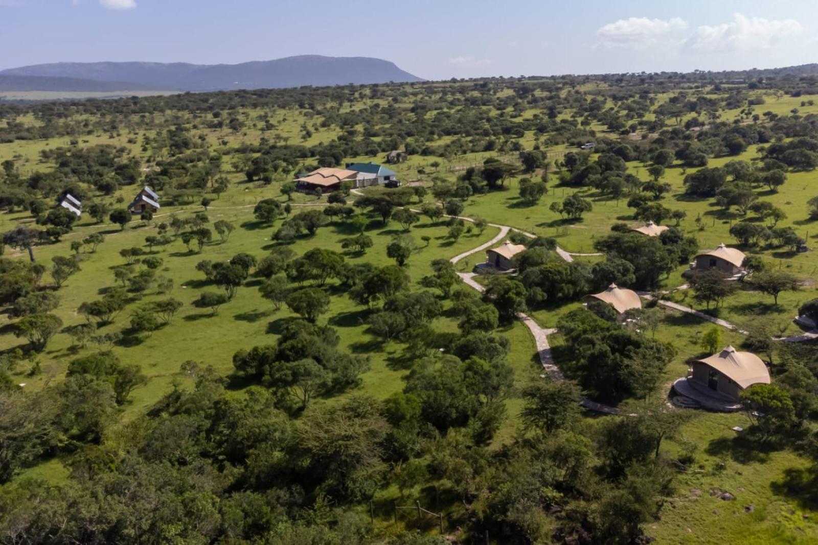 Hotel Olorien Mara Camp à Réserve nationale du Masai Mara Extérieur photo