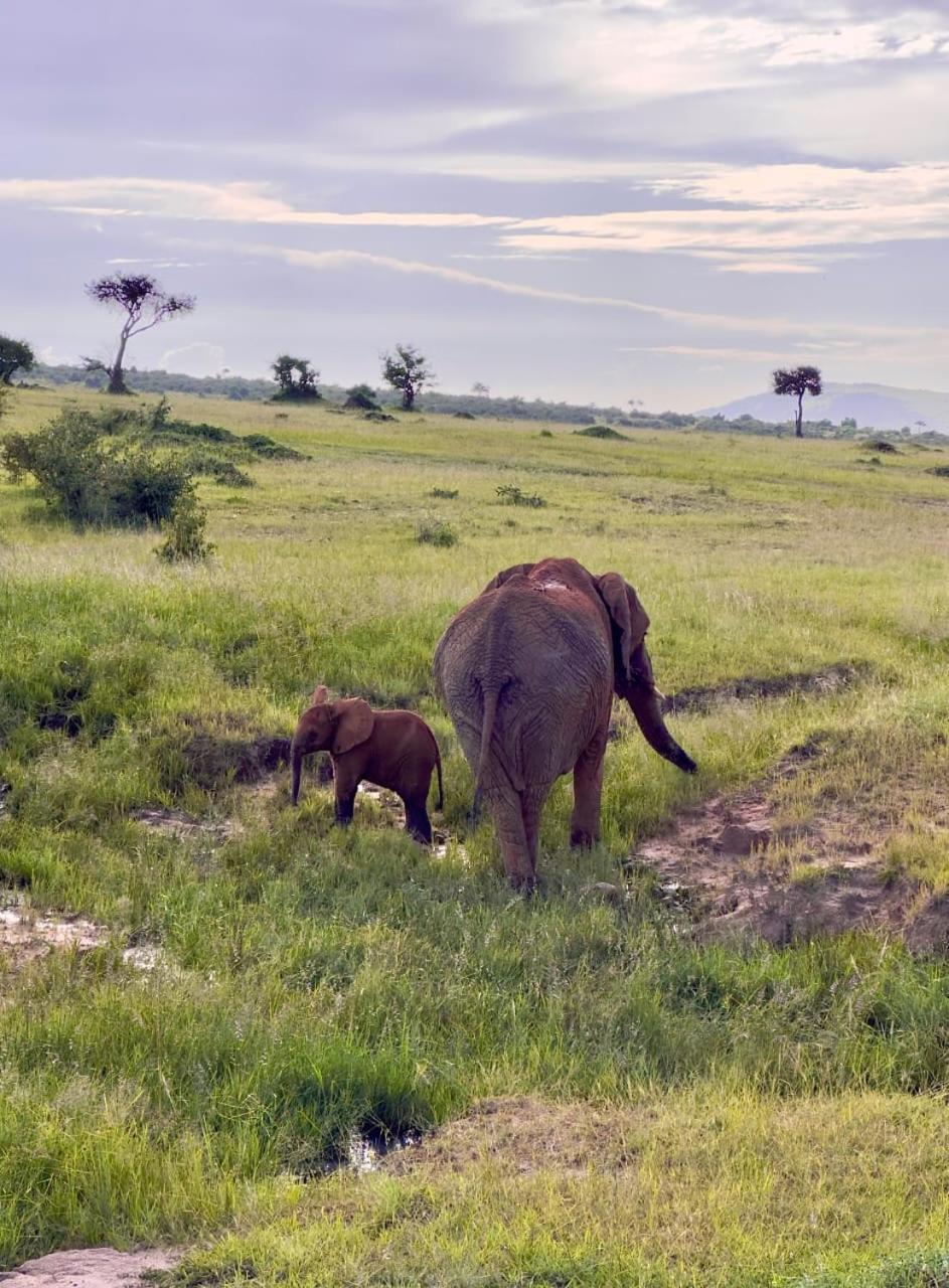 Hotel Olorien Mara Camp à Réserve nationale du Masai Mara Extérieur photo